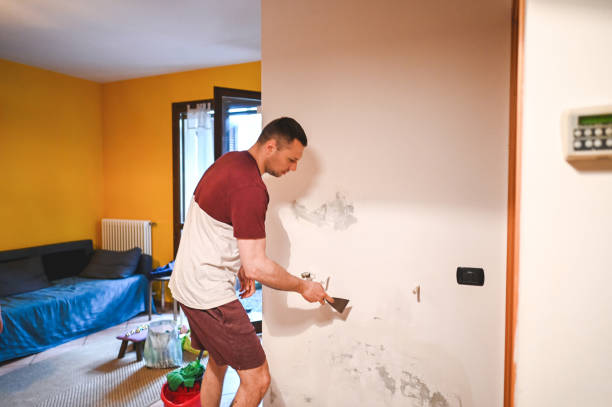 Best Emergency Mold Remediation in Belfast, ME